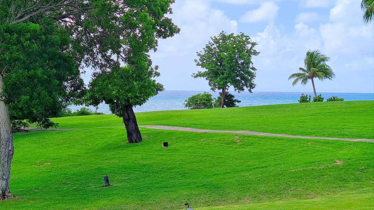 Studio Charme Creole Acces Plage Sainte-Luce Dış mekan fotoğraf